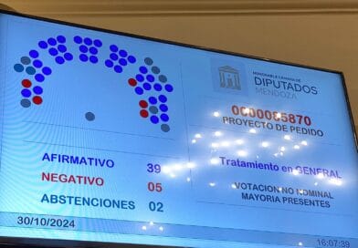 Diputados de Mendoza aprobó la Declaración de Impacto Ambiental de 34 proyectos mineros