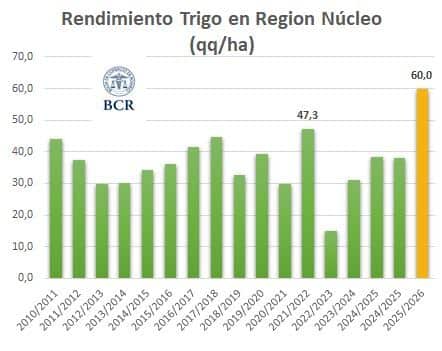 Los rindes del trigo en zona núcleo se acercan a 60 quintales por hectárea. Fuente: Bolsa de Comercio de Rosario