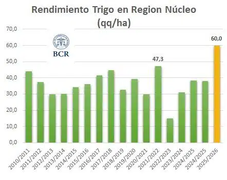 Los rindes del trigo en zona núcleo se acercan a 60 quintales por hectárea. Fuente: Bolsa de Comercio de Rosario
