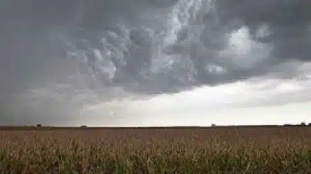 El sur y centro oeste del área agrícola argentina tendrá precipitaciones de variada intensidad