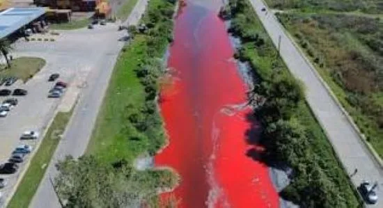 La contaminación del agua en el Gran Buenos Aires es noticia para BBC News que dio repercusión internacional a un viejo problema ambiental del Gran Buenos Aires.