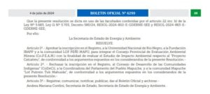 Publicación del Boletín Oficial de la Provincia de Río Negro creando la Comisión Provincial de Evaluación Ambiental Minera-Copeam