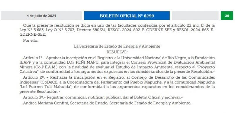 Publicación del Boletín Oficial de la Provincia de Río Negro creando la Comisión Provincial de Evaluación Ambiental Minera-Copeam