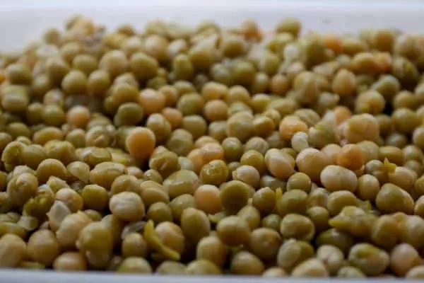 Creció 25% la exportación agroindustrial argentina. Entre los productos más destacados en sus mejoras en los valores exportados, se pueden mencionar: Azúcar (+335%); Legumbres secas-arvejas (+235%); Naranja (+225%); Arroz grano (+115%); Tocinos y grasas bovinas (+109)