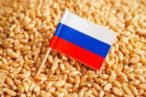 Exportacioness de cereales de Rusia