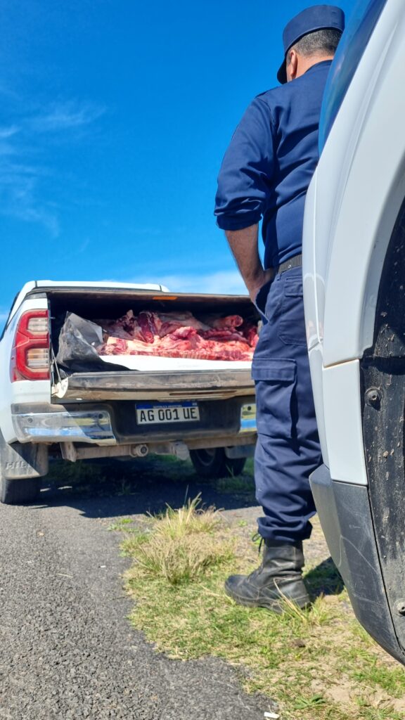 La pickup Hilux capturada contenía no menos de una tonelada de carne vacuna faenada ilegalmente como producto de un delito de abigeato detectado en flagrancia por efectivos policiales de Entre Ríos.