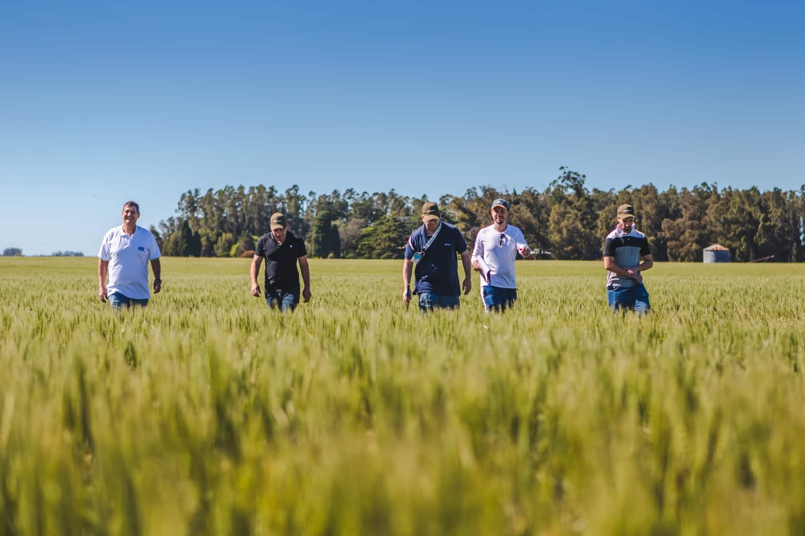 El recorrido de AGROTOUR es una herramienta sumamente útil, ya que nos permite conocer y anticipar con precisión cuál será el estado y rendimiento de cultivos como el trigo y la cebada, previo a la cosecha.