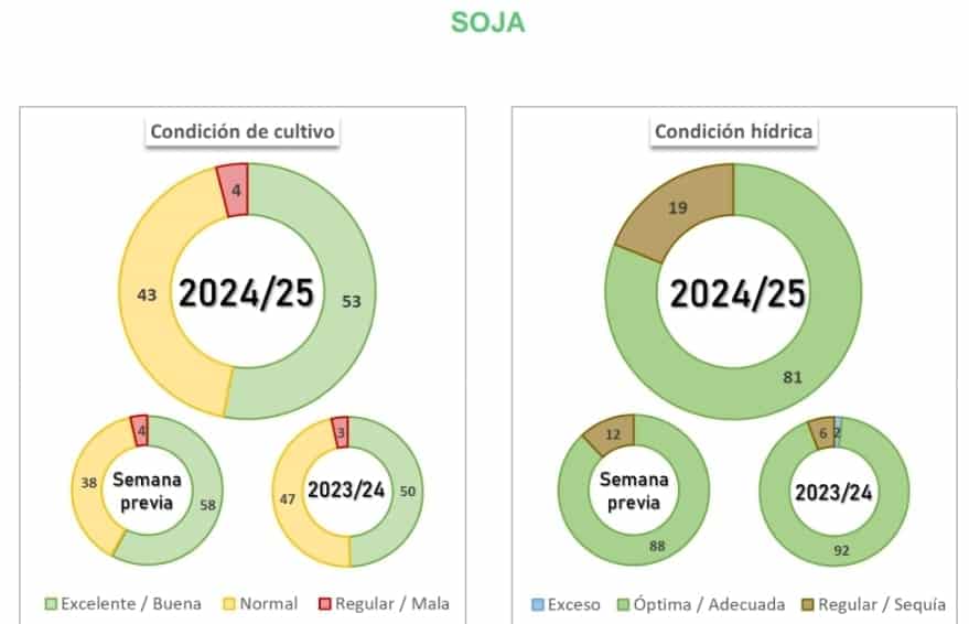 La siembra de soja cubre 92.7% del área proyectada