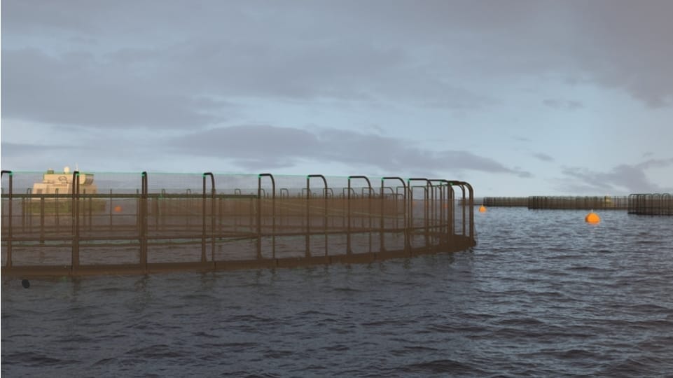 Unity Marine producirá 50.000 toneladas de salmón en Malvinas