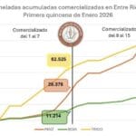 Entre Ríos comercializó más de 240.000 toneladas de granos en la primera quincena de enero