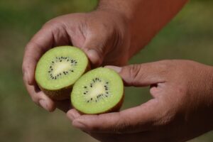 KIWI