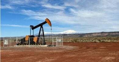 Mendoza licita 12 áreas petroleras