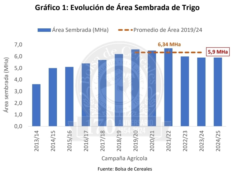 El cultivo de trigo alcanzará a 5.9 millones de hectáreas