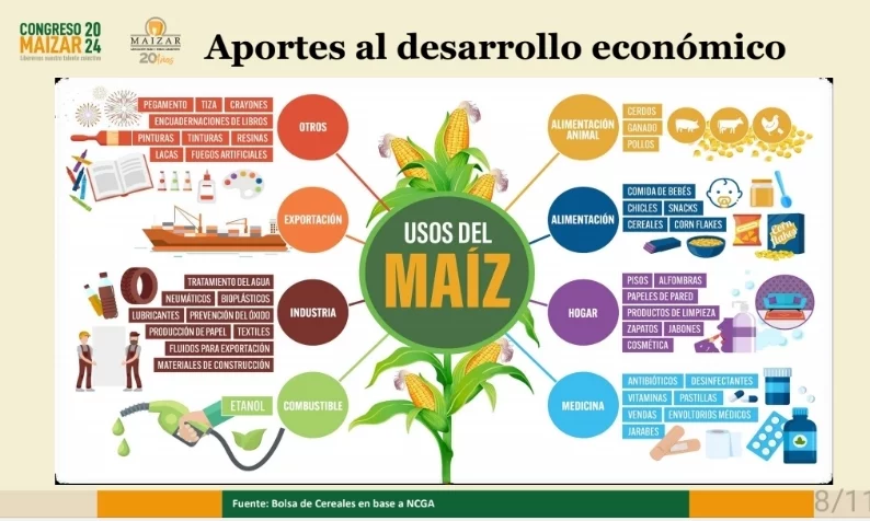 Fuente: Bolsa de Cereales de Buenos Aires 
