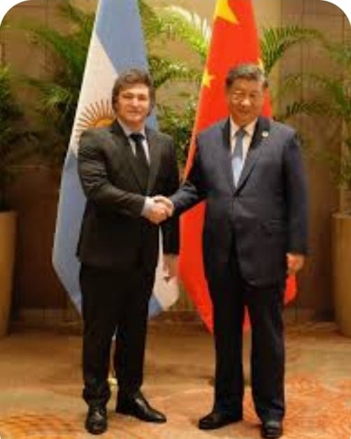 La inserción Argentina en el nuevo sistema mundial llevó a Javier Milei a cambiar la percepción de China qué expresó durante su campaña electoral y ese cambio se reflejó en el encuentro con Xi Jinping en la Cumbre del G20 que se concretó el último mes en Río de Janeiro, Brasil. 