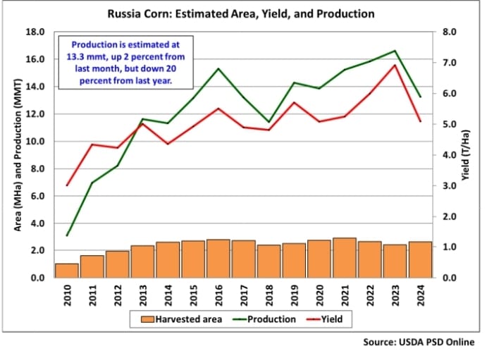 La producción de maíz de Rusia para el ciclo comercial 2024/25 se estima en 13,3 millones de toneladas.