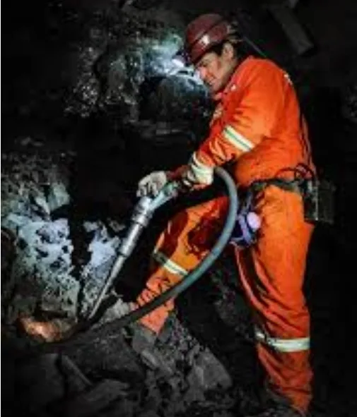 Argentina subasta 30.000 toneladas de carbón mineral mediante un convenio entre Banco Ciudad y Yacimiento Carbonífero Río Turbio.