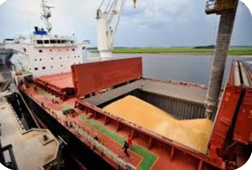 Podrían ingresar US$ 1.500 millones adicionales a la economía argentina por la reducción de los derechos de exportación