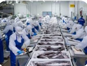 La industria pesquera de Chile es una de las más grandes del mundo, y es un sector vital para la economía del país.