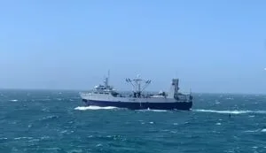 Prefectura Naval Argentina detectó, mediante el Sistema Guardacostas y su confirmación a través de la Plataforma de Monitoreo Skylight, al pesquero XINRUN 579, de bandera de Vanuatu, ingresando a la Zona Económica Exclusiva de nuestro país.