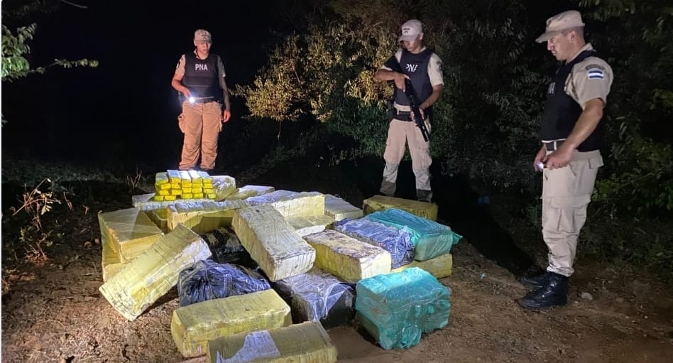 Prefectura Naval Argentina halló ocultos entre la vegetación 37 bultos con panes rectangulares qué contenían 1009 ladrillos de marihuana que sumaban 661 kilos del estupefacientes por un valor estimado en 1,7 millones de dólares.