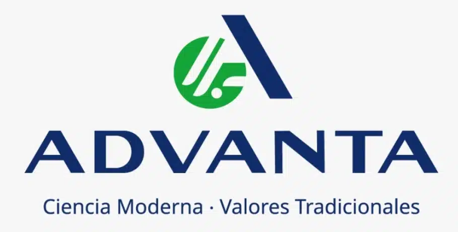 Advanta presentó sus híbridos de maíz adaptados a todas las fechas de siembra y planteos productivos en cada región