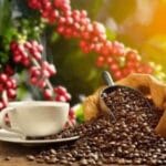 En Brasil se descubrieron cafés adulterados