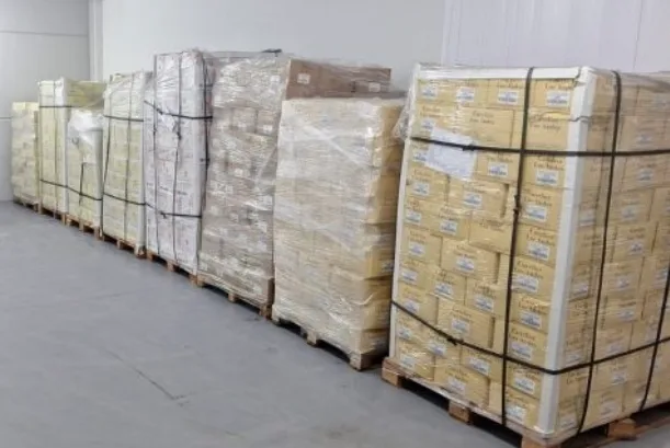 El primer envío de vinos mendocinos llegó al hub logístico de Santa Catarina, Brasil