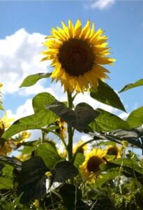 Screenshot_20250824_220737_Gmail