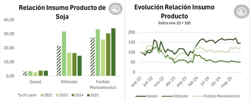 Relación Insumo Producto de la Soja