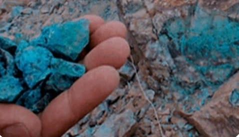 Screenshot_20250913_011735_Google