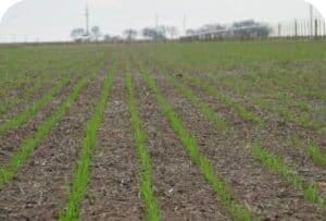 Screenshot_20250915_013633_Google