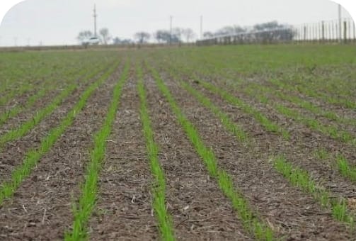 Screenshot_20250915_013633_Google