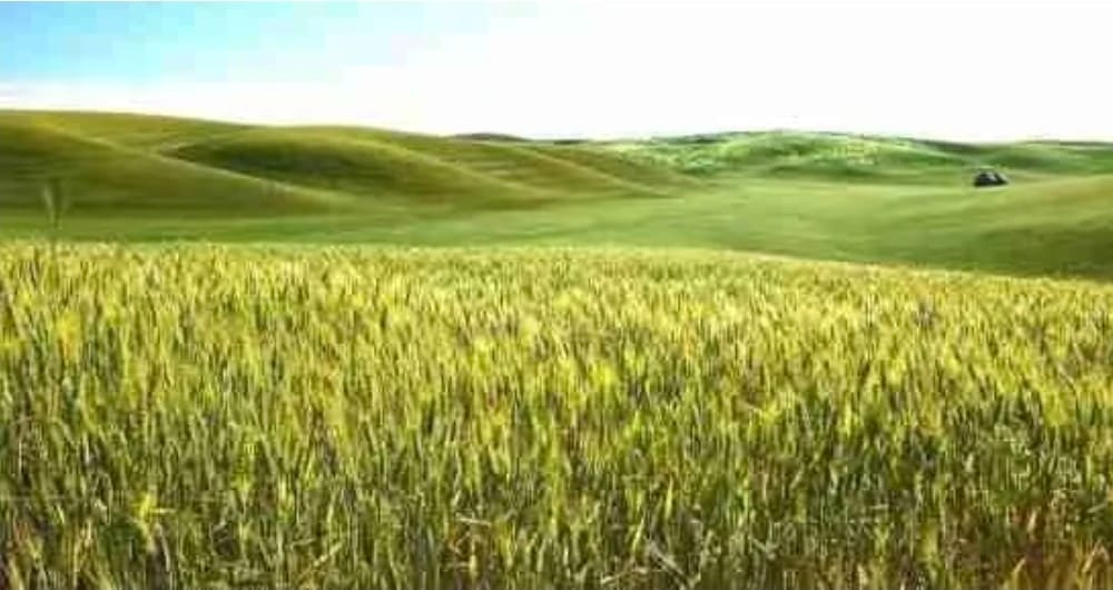 Screenshot_20250915_131716_Samsung Internet