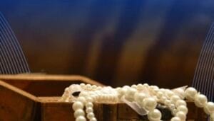 Screenshot_20250926_121623_WhatsApp