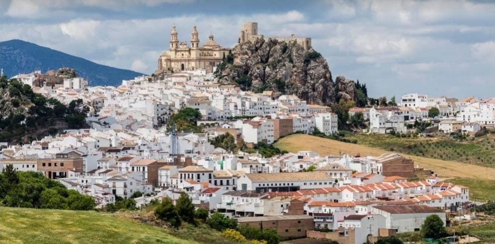 Screenshot_20251001_204301_Google