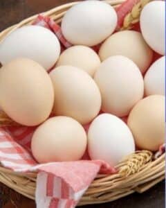 Screenshot_20251003_100852_M365 Copilot