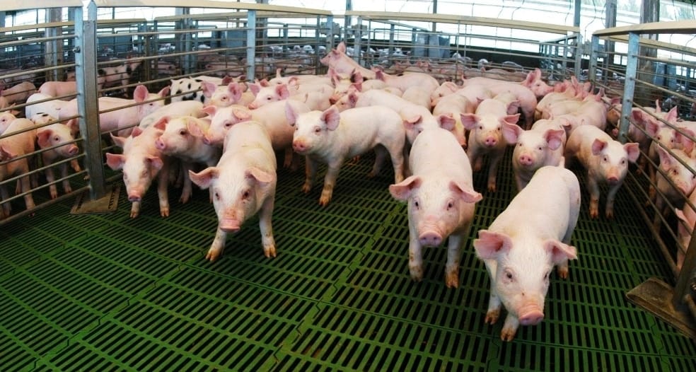 Screenshot_20251006_122239_Gmail