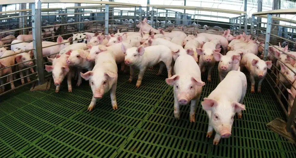 Screenshot_20251006_122239_Gmail