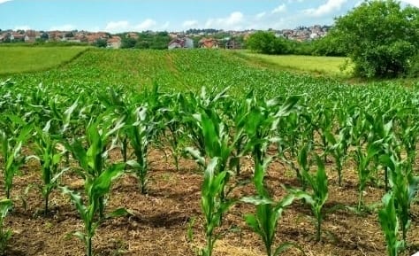 Screenshot_20251009_160311_Google