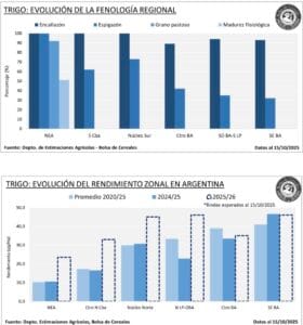 Screenshot_20251016_195851_M365 Copilot