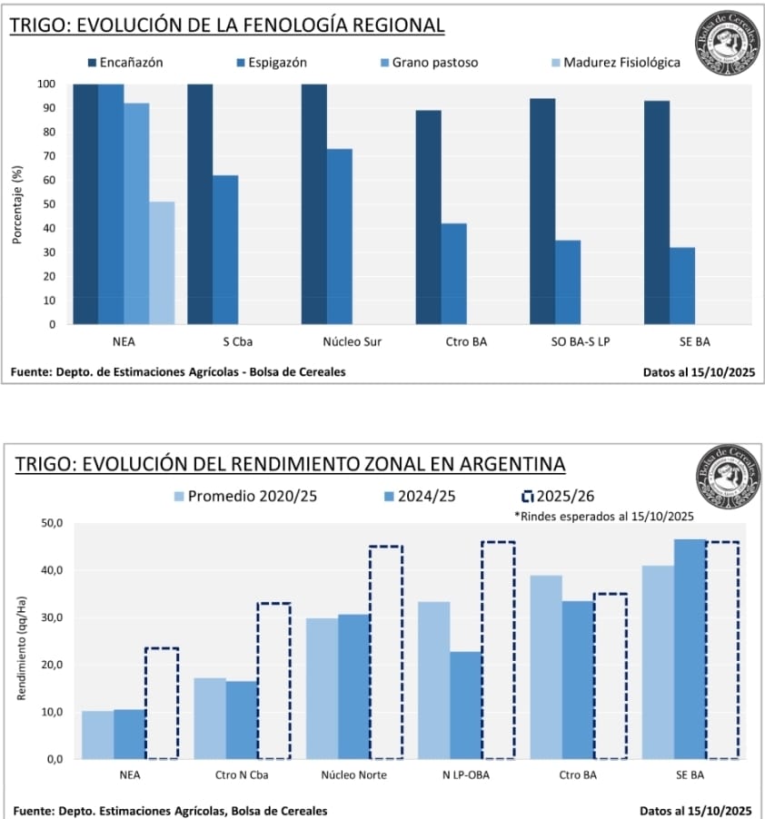Screenshot_20251016_195851_M365 Copilot