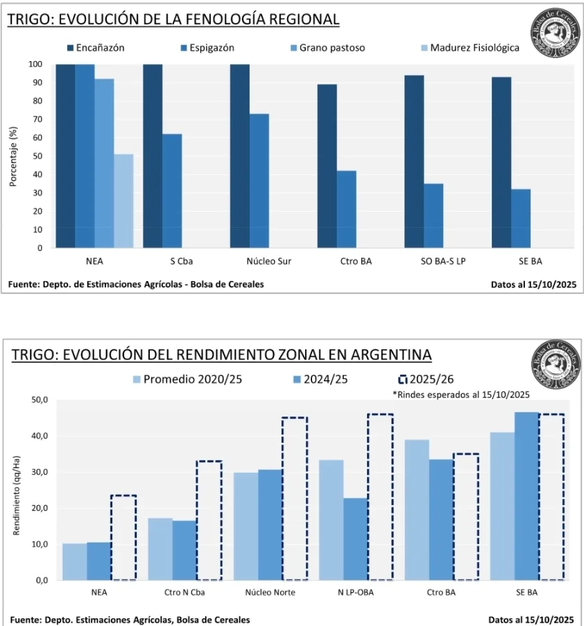 Screenshot_20251016_195851_M365 Copilot
