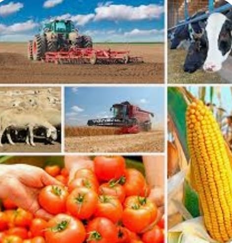 Screenshot_20251030_235828_Samsung Internet