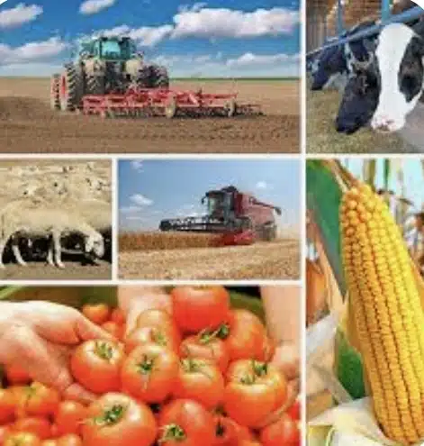 Screenshot_20251030_235828_Samsung Internet