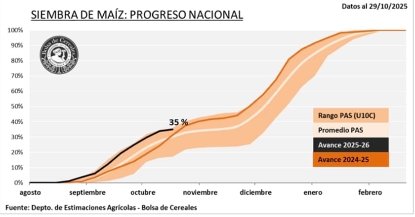 La siembra de maíz avanzó en 35% del área proyectada