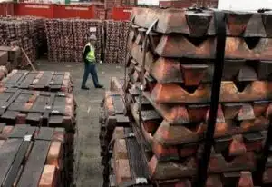 Screenshot_20251112_161053_Samsung Internet