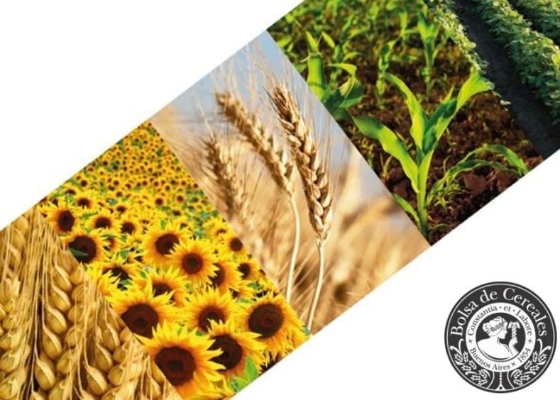 Screenshot_20251113_164503_M365 Copilot