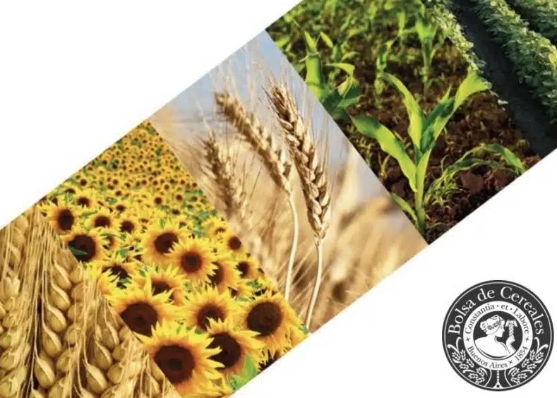 Screenshot_20251113_164503_M365 Copilot