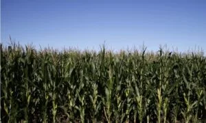 Screenshot_20251116_090256_Gmail